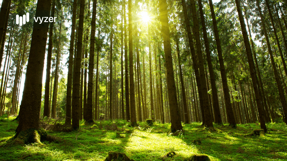 What You Need to Know About Ethical and ESG Investing